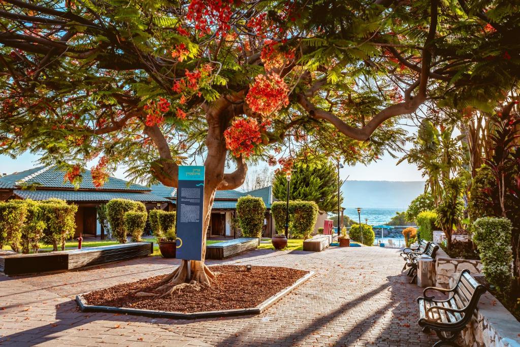 un árbol con flores rojas en una acera en Daria- Authentic Israeli Experience, en HaOn