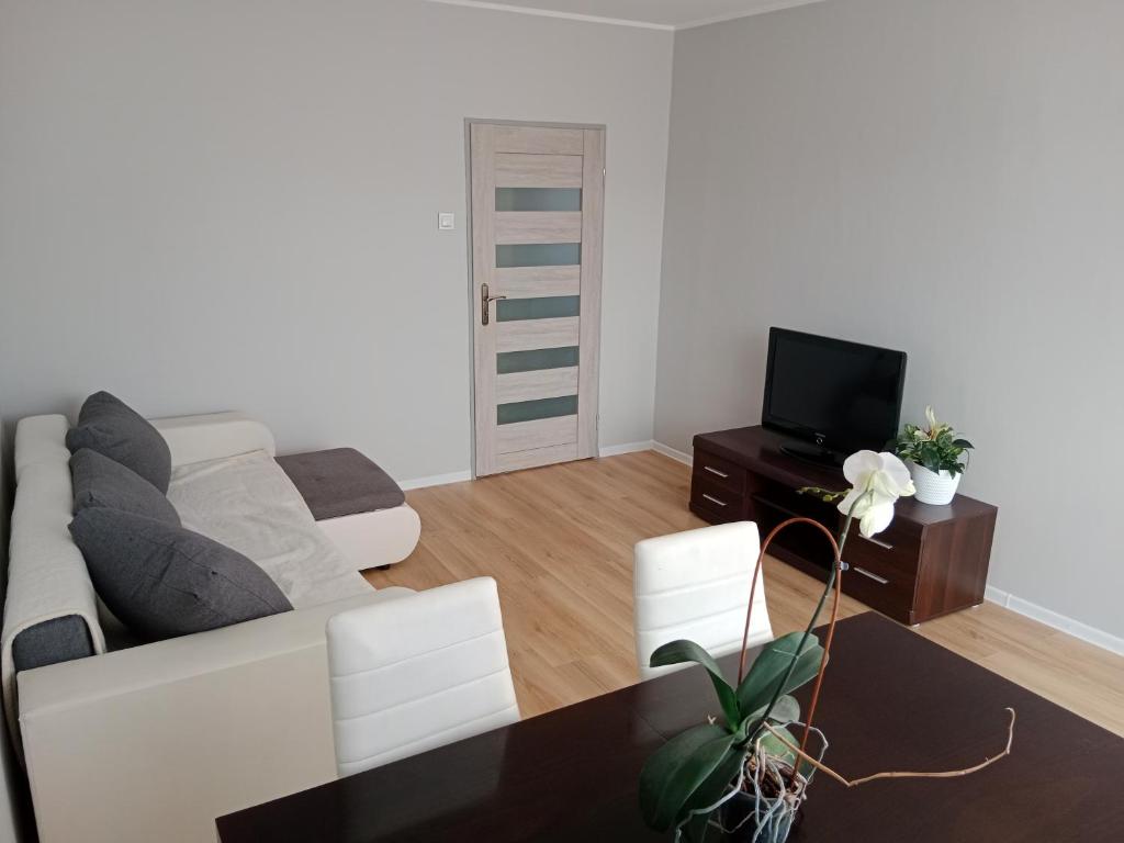 een woonkamer met een witte bank en een tv bij Super mieszkanie 3-pokoje in Bielawa