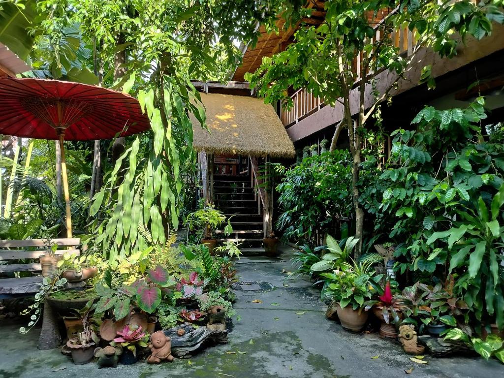 um jardim com um monte de plantas e um guarda-chuva em Oldy De Garden em Chiang Mai