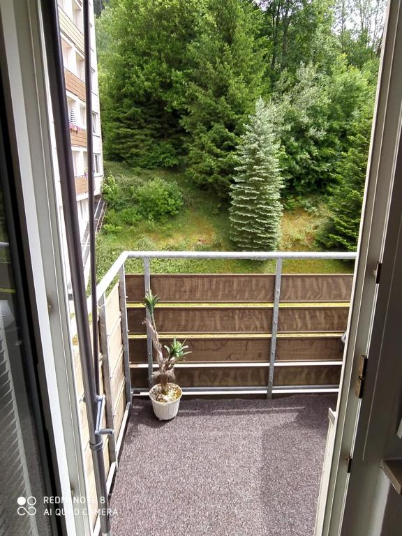 Φωτογραφία από το άλμπουμ του Tiny Flat Baiersbronn σε Baiersbronn