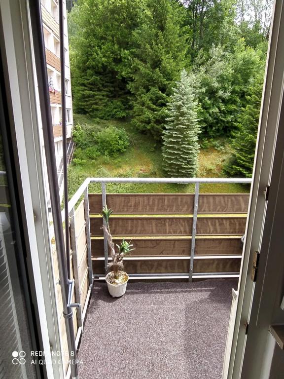an open door to a balcony with a potted plant at Tiny Flat Baiersbronn in Baiersbronn