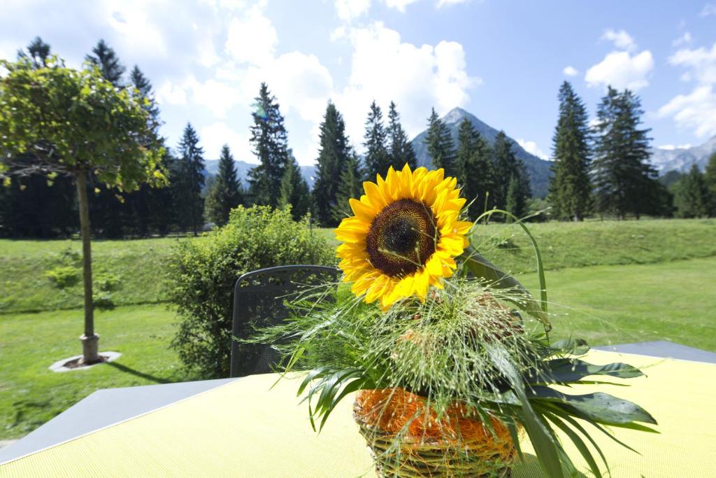 Paesaggio naturale nelle vicinanze dell'appartamento