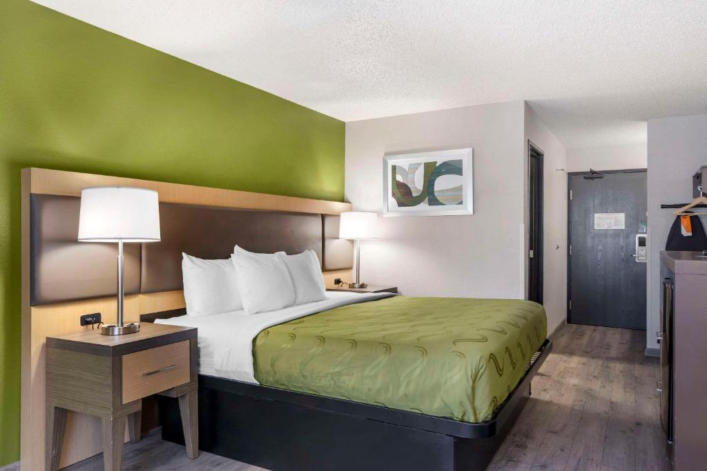 Quality Inn & Suites - Room King - Non-fumeur