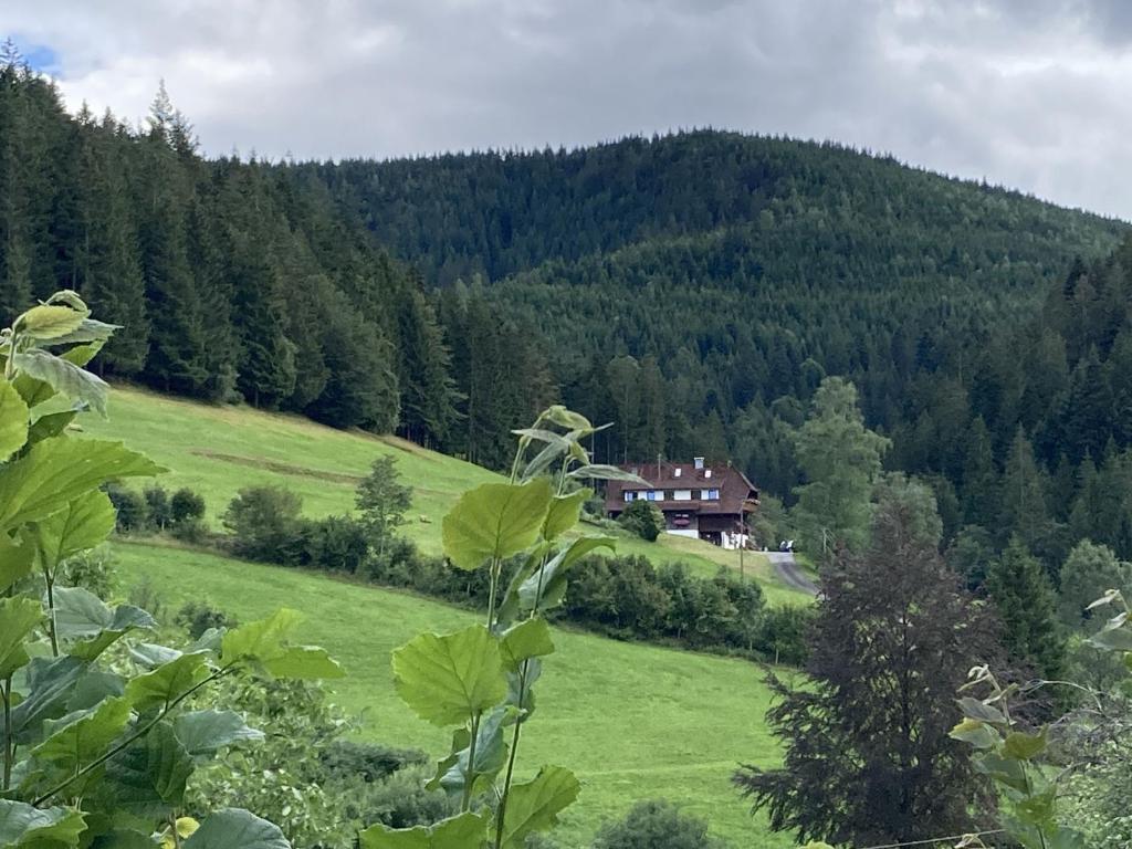 ein Haus mitten auf einem grünen Feld in der Unterkunft Appart Herzglück in Bad Rippoldsau-Schapbach