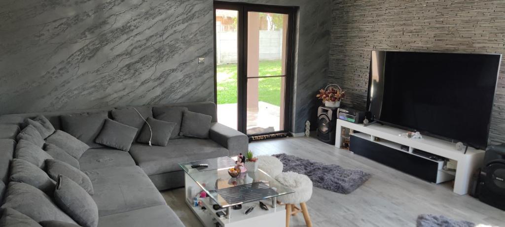 uma sala de estar com um sofá cinzento e uma televisão de ecrã plano em Lovely 1 bedroom flat in a 2 ground floor house em Craiova