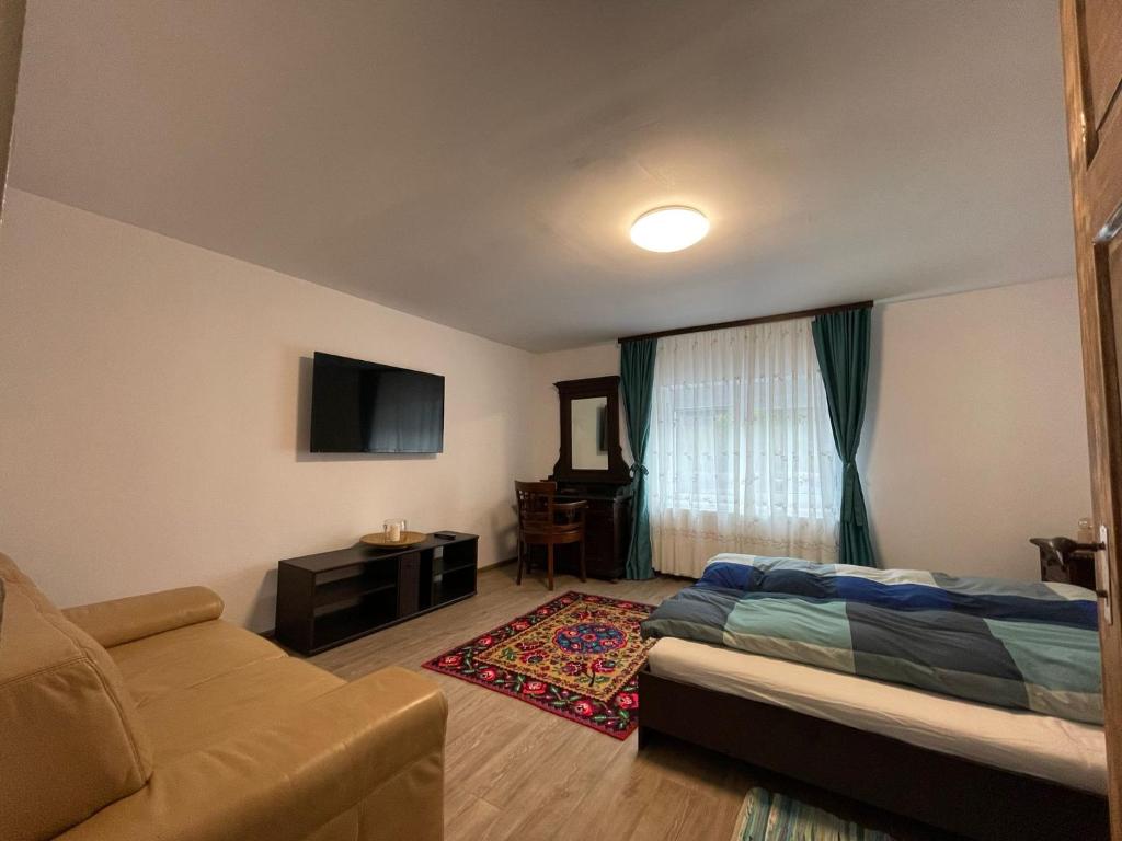 - un salon avec un lit et un canapé dans l'établissement Casa Popa, à Văliug