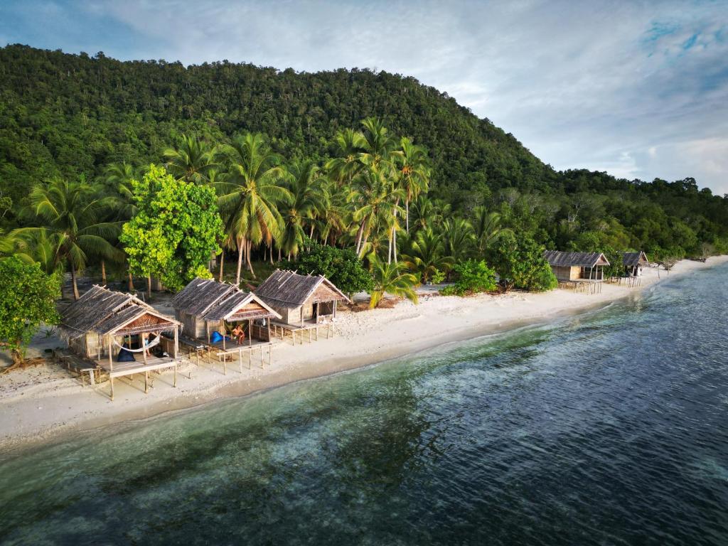 an aerial view of a beach with houses and trees at West Mansuar Homestay in Pulau Mansuar