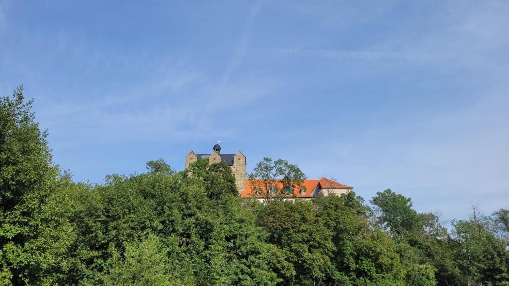 Příroda nedaleko apartmánu