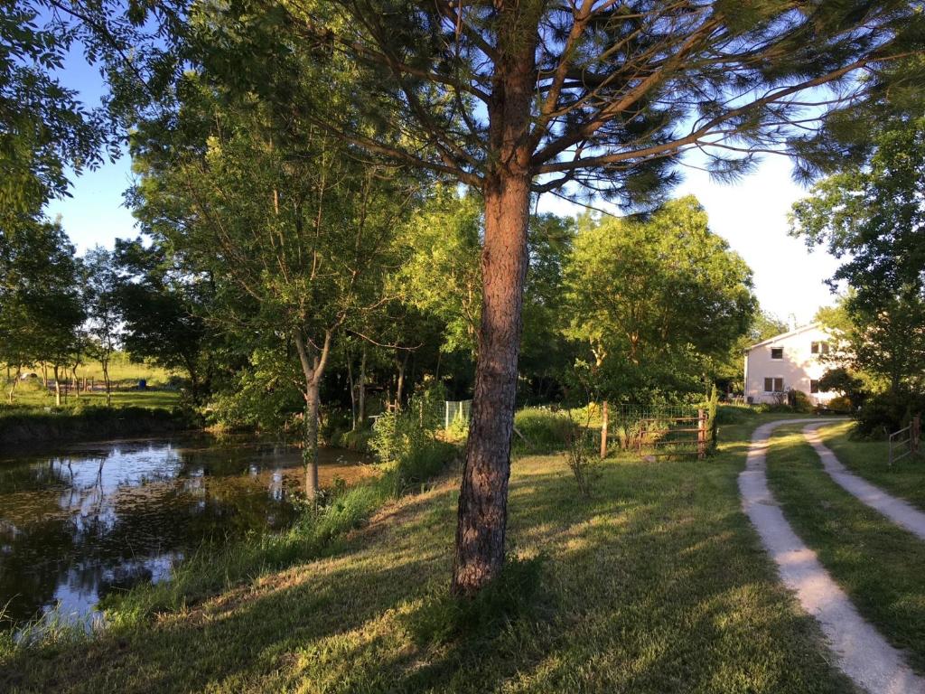 a tree in the grass next to a river at Maison d hôtes Les Chantours dans réserve naturelle 15 hectares in Saint-Antoine-Cumond