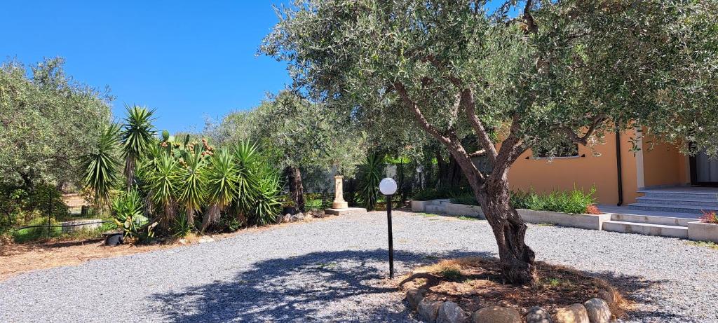 Casa Terra Del Sole - Appartement - Begane Grond