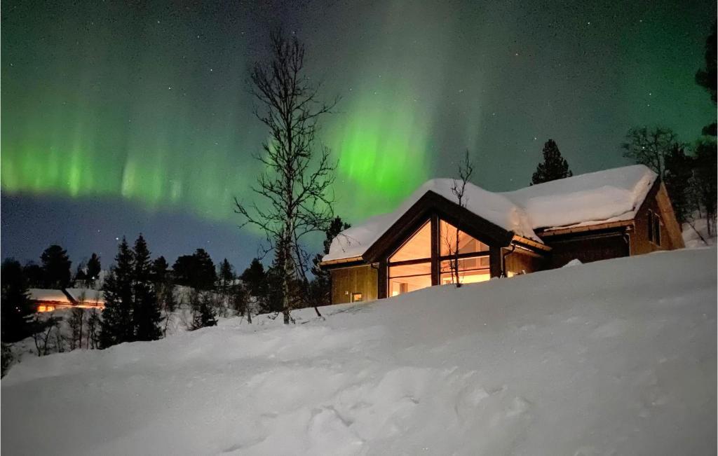 a house with the aurora in front of it at Stunning Home In Edland With 5 Bedrooms And Wifi in Botn