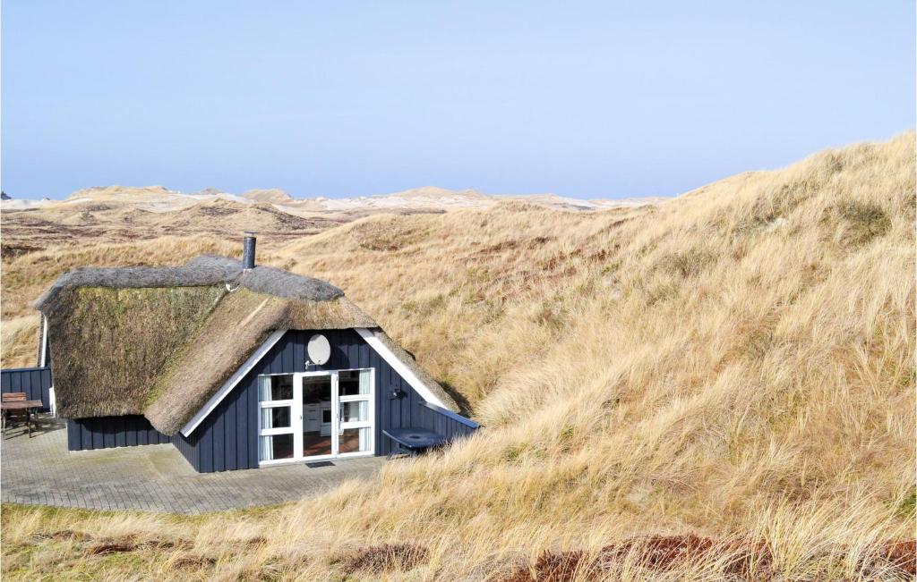 ein strohgedecktes Haus auf einem Grashügel in der Unterkunft 2 Bedroom Awesome Home In Hvide Sande in Havrvig