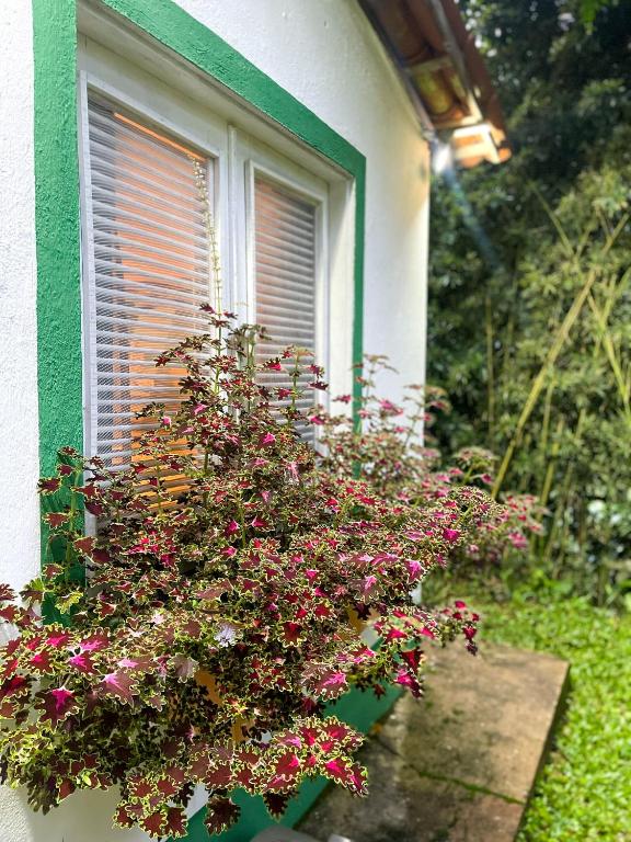 Olho D'Água Pousada - Chalet Mit Zwei Schlafzimmern