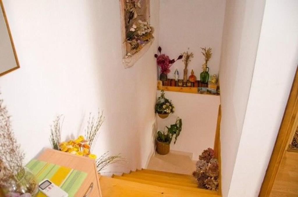 a room with a staircase with plants and a box at Apartment Miho in Trsteno