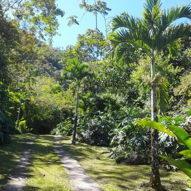 Zahrada ubytování Corredores del Pacuare