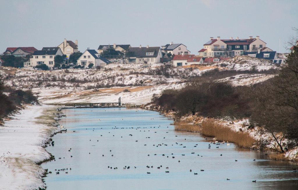 una bandada de aves nadando en un río con casas en Duin-Vliet en Bentveld