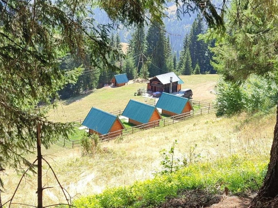 een groep hutten op een heuvel in een veld bij KOLIBA Marijanović in Andrijevica