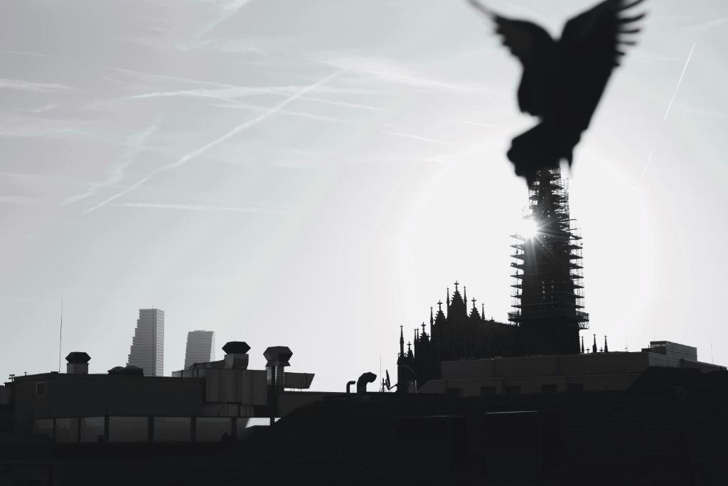 ART HOUSE Basel - Member of Design Hotels - Resim 9