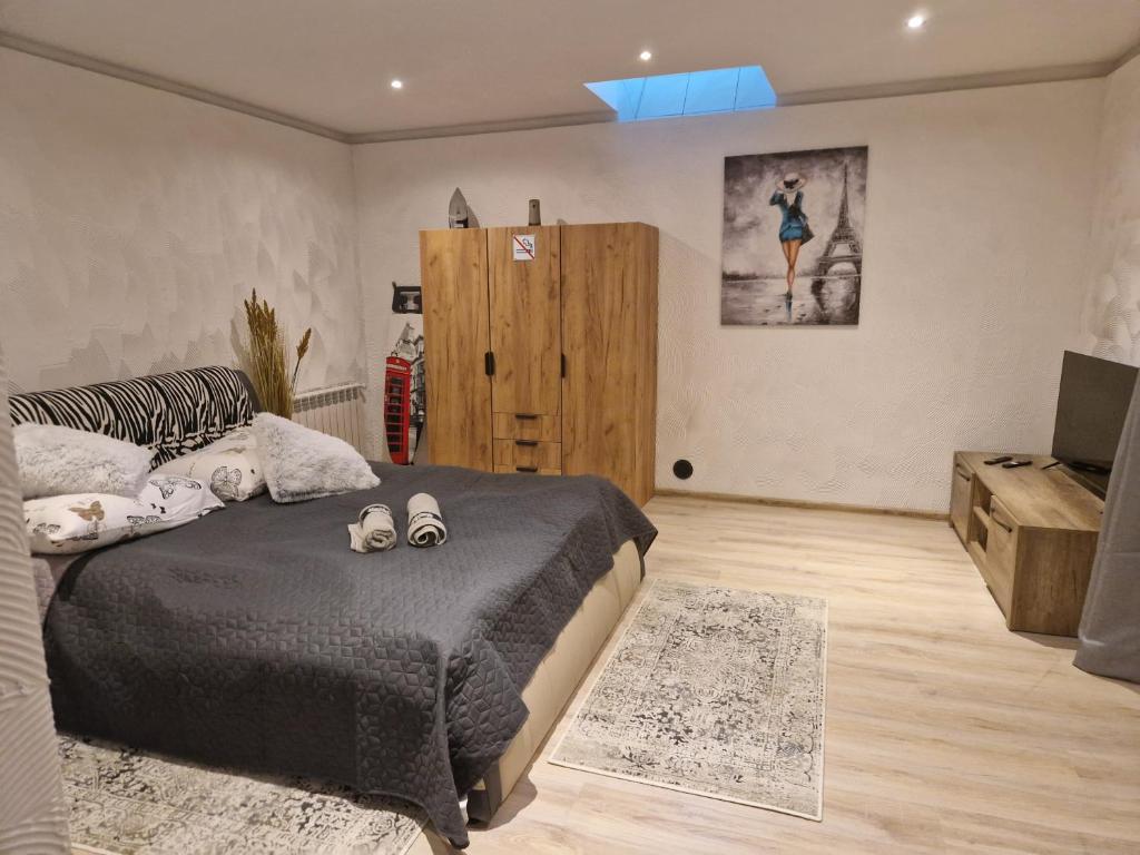 1 dormitorio con 1 cama y TV en una habitación en Apartamenty Rynek a1 en Przemyśl