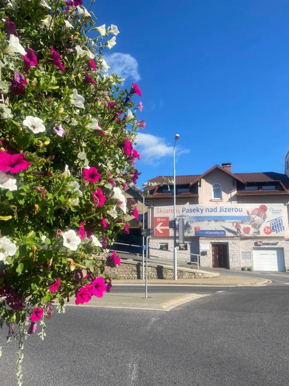 un árbol con flores rosas y blancas en una calle en Apartment Krkonošská en Tanvald