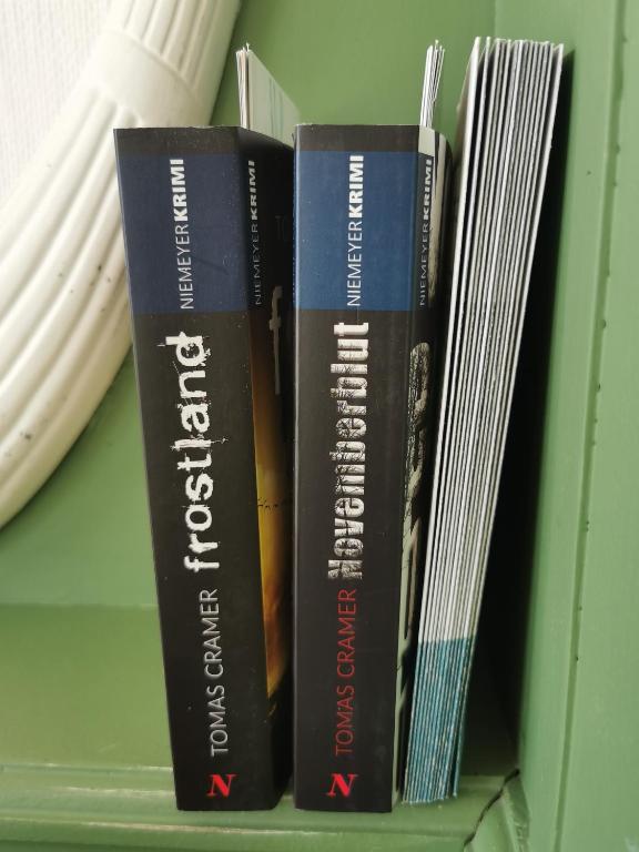 Knihovna v apartmánu