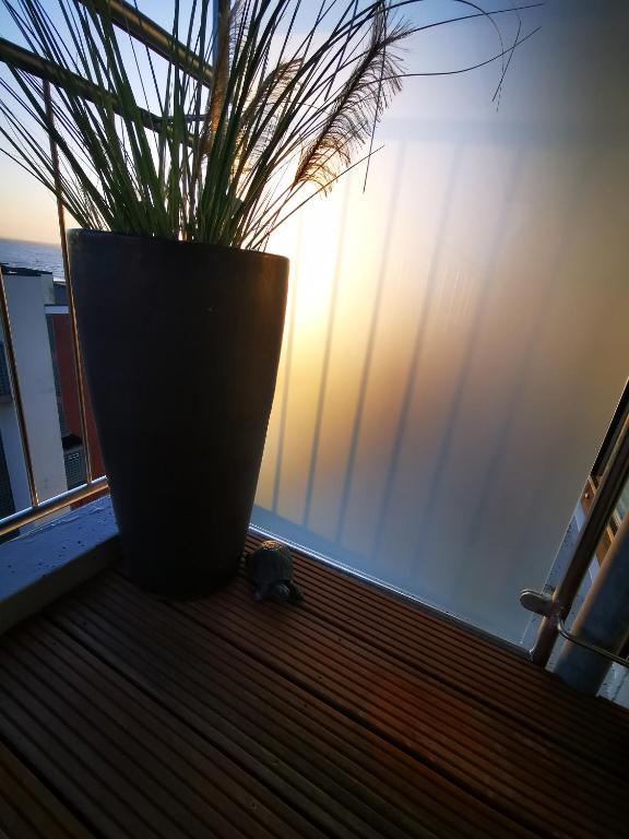 Východ nebo západ slunce při pohledu z apartmánu nebo okolí