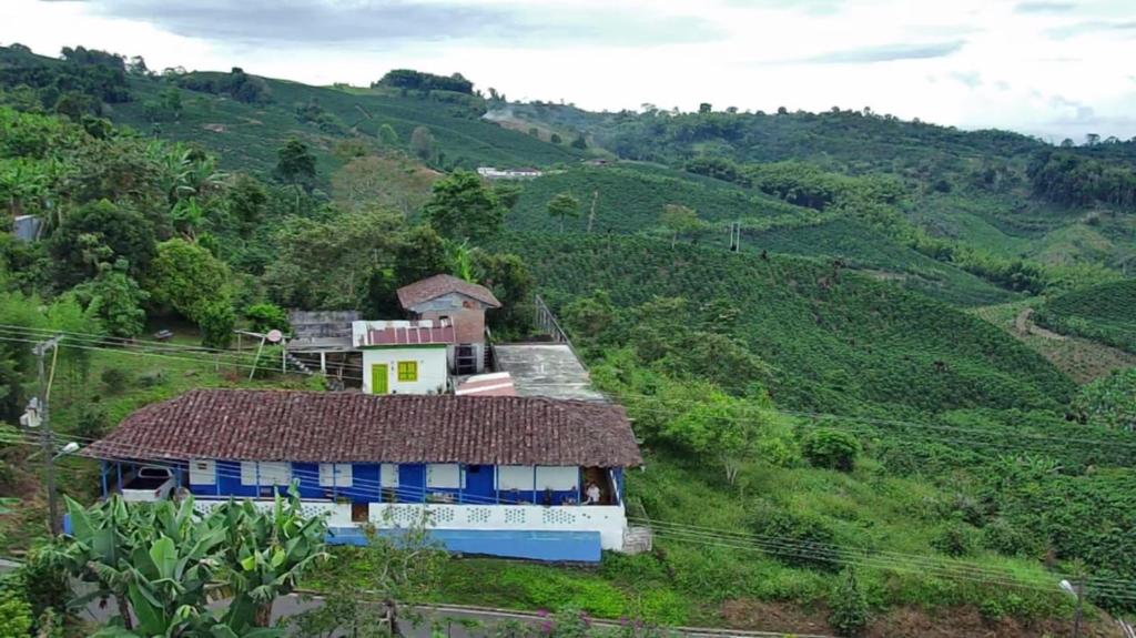 ein kleines Haus an der Seite eines Hügels in der Unterkunft Santa Irene de Palomino - Sevilla Valle del Cauca in Sevilla