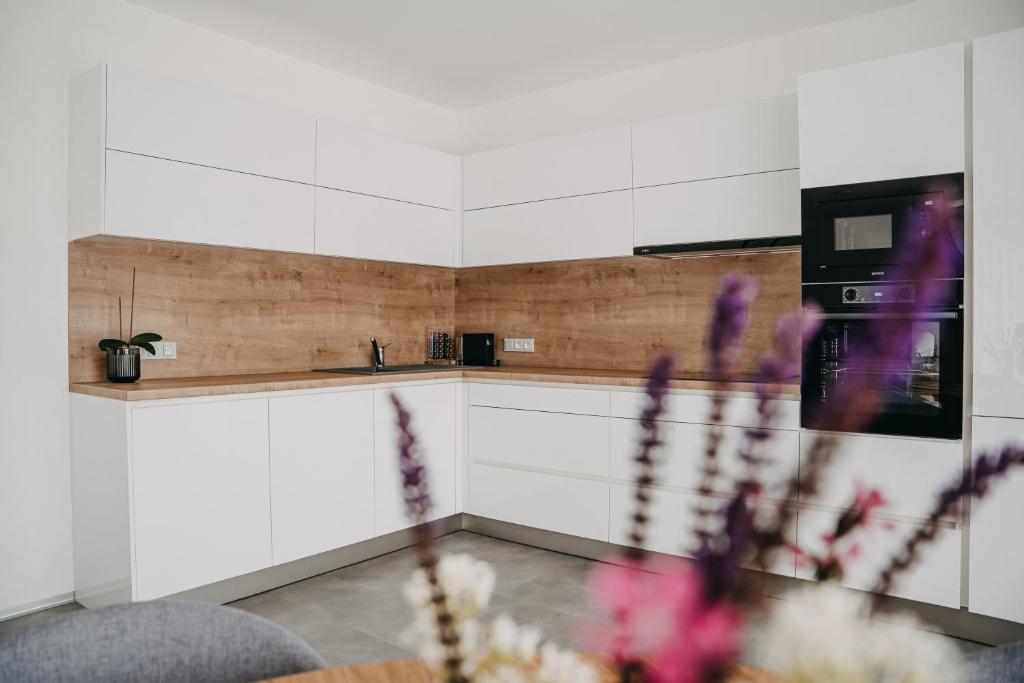 Kuchyň nebo kuchyňský kout v ubytování Apartmán Ústí