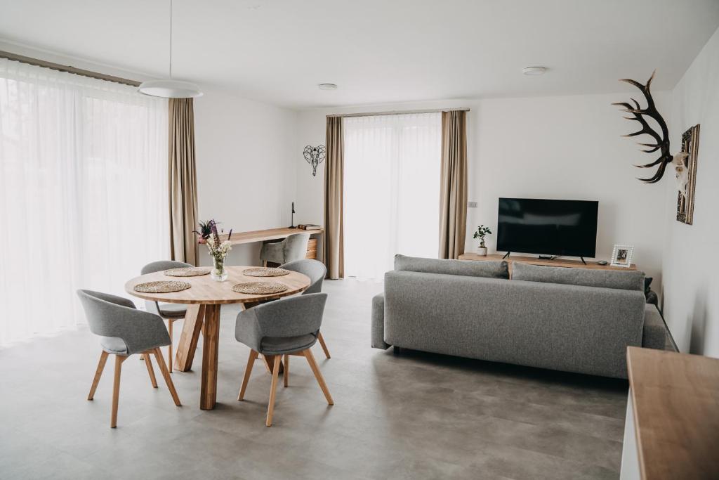 TV a/nebo společenská místnost v ubytování Apartmán Ústí