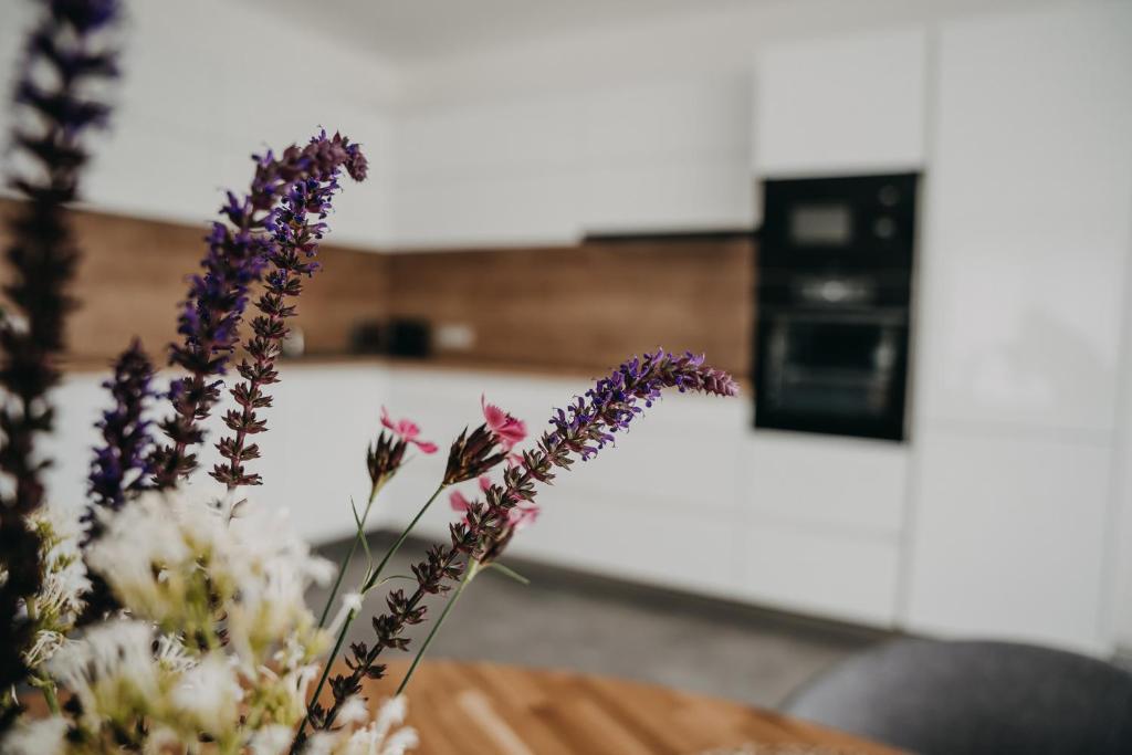 Kuchyň nebo kuchyňský kout v ubytování Apartmán Ústí