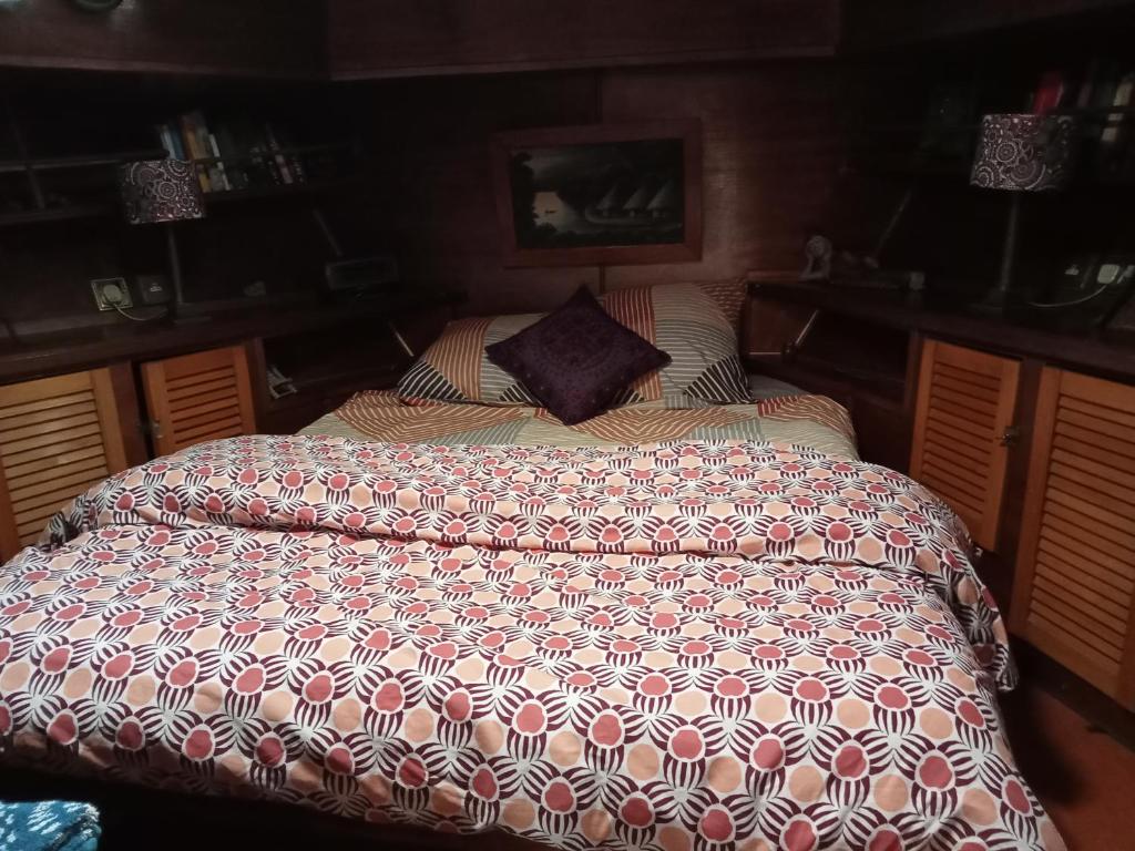 Легло или легла в стая в Bateau de pirates