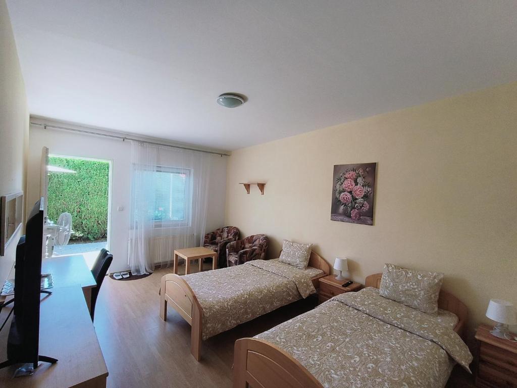 Cozy Room with garden in Bratislava - Budget Twin Room