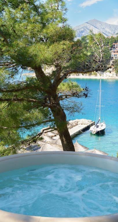 a view of a tree and a boat in the water at Apartments Bikin in Brela
