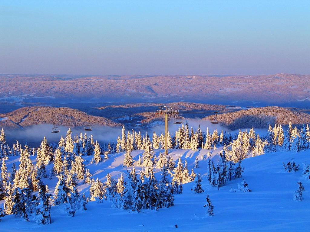 Gallery image of Sjusjøen Hytteutleie in Sjusjøen