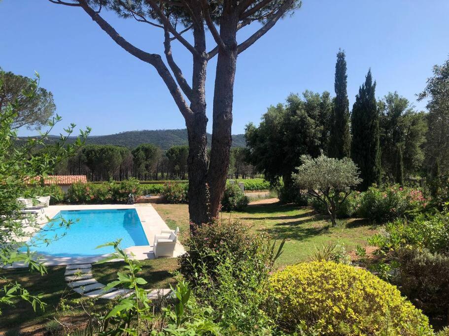 une piscine dans un jardin avec un arbre dans l'établissement Bastide de l'Hermitan - Golfe de Saint Tropez, à Cogolin