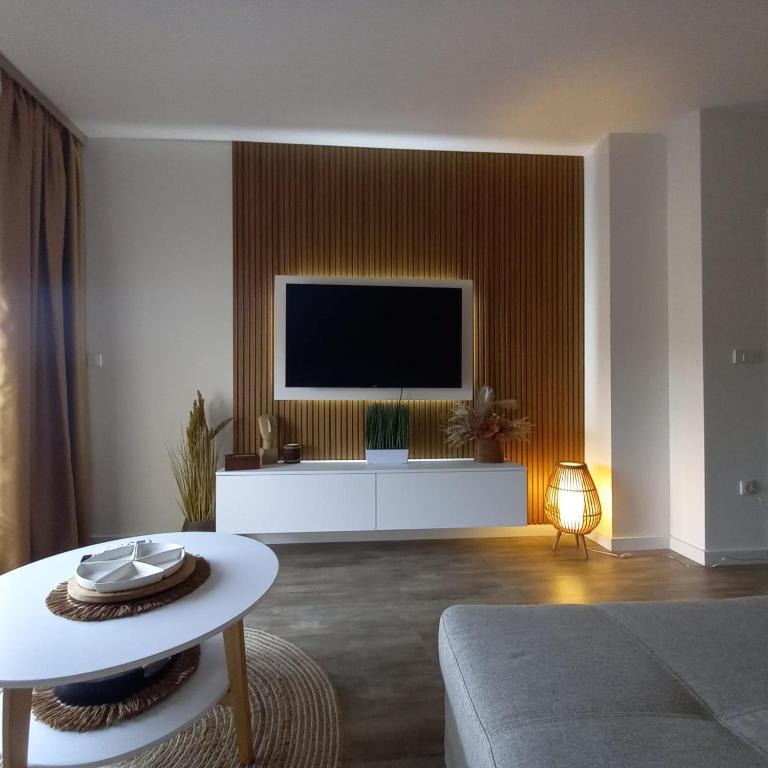 TV o dispositivi per l'intrattenimento presso Apartman Prodan