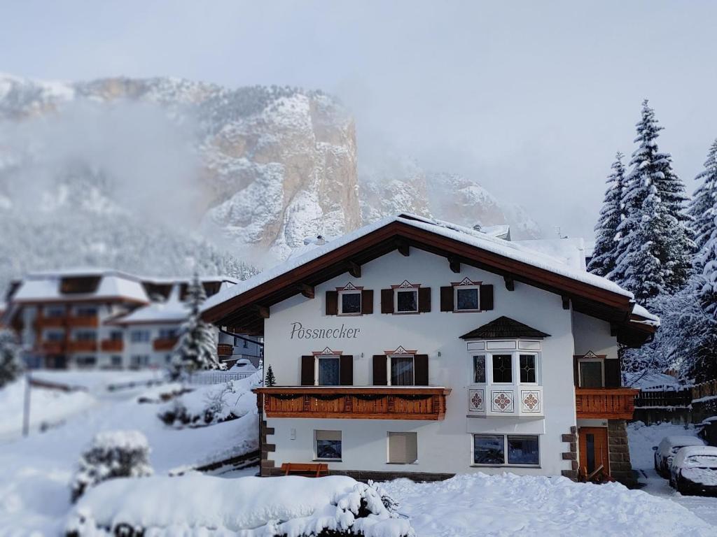 a house in the snow with a mountain in the background at Apartment Pössnecker in Selva di Val Gardena