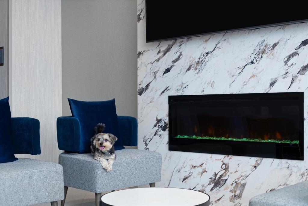 Home2 Suites By Hilton Huntsville的休息区