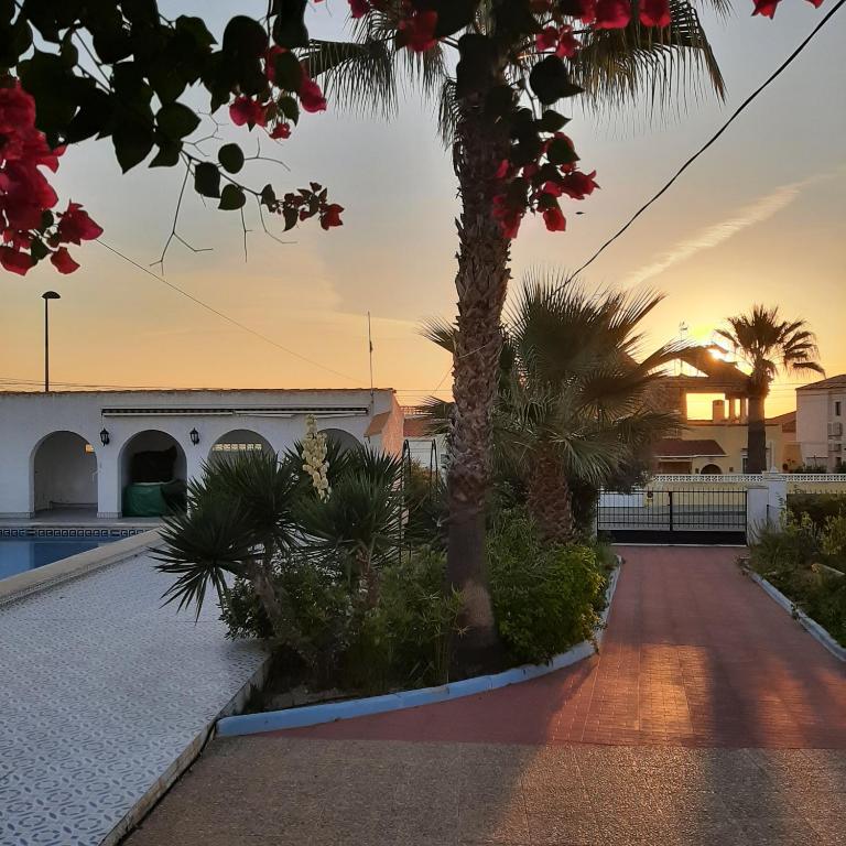 VILLA GATOS, Pinar de Campoverde – Updated 2023 Prices