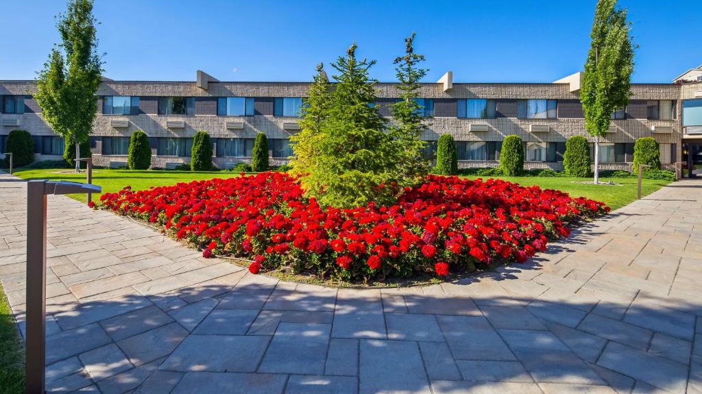 Best Western Plus University Inn photo