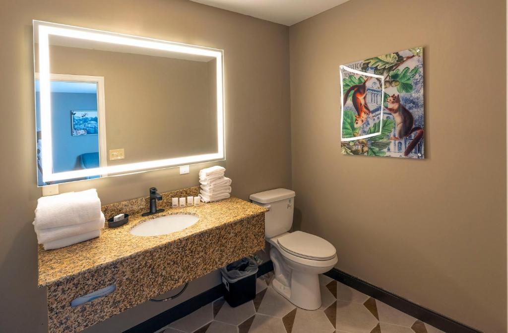The Hotel Saratoga, Ascend Hotel Collection - Une Salle De Chambre Avec Canapé-lit - Non Fumeurs