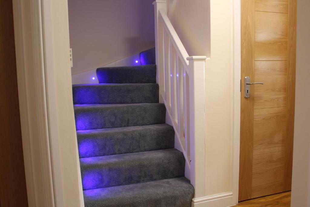 a stairway with blue led lights on the stairs at Silk Hotel in Boston