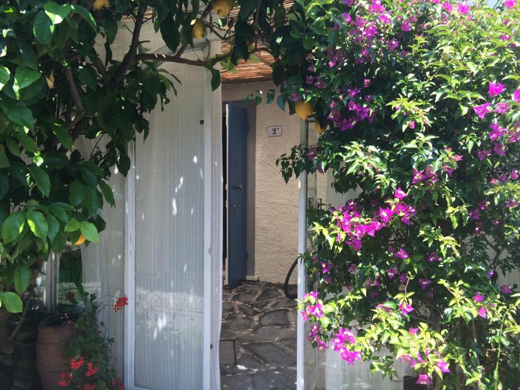 Una porta bianca con un mazzo di fiori viola di Il Nido sul mare a Forte dei Marmi a Forte dei Marmi