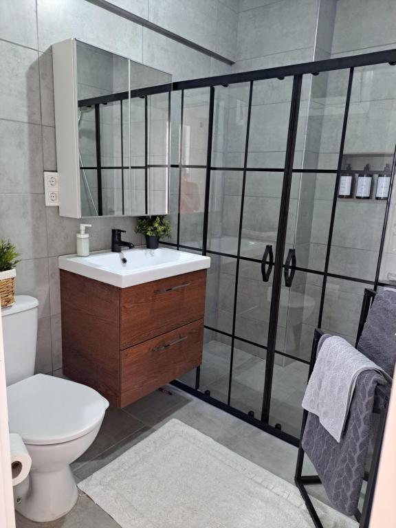 La salle de bains est pourvue d'une douche, d'un lavabo et de toilettes. dans l'établissement Konforlu daire, à Istanbul