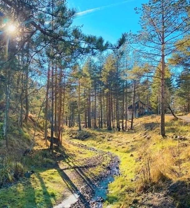 Příroda nedaleko apartmánu