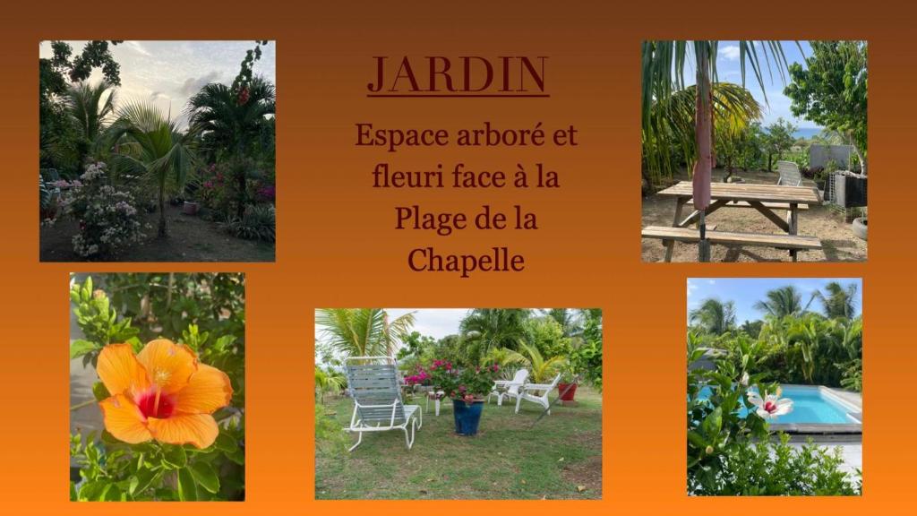 a collage of pictures of a garden at Le Domharry in Anse-Bertrand