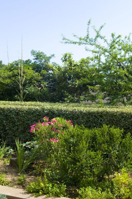 Hotel Villa Sarah - 10