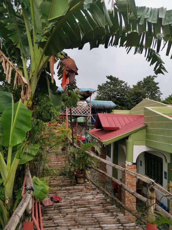 Photo from SMyleINN Farm in San Fernando, Luzon, Philippines