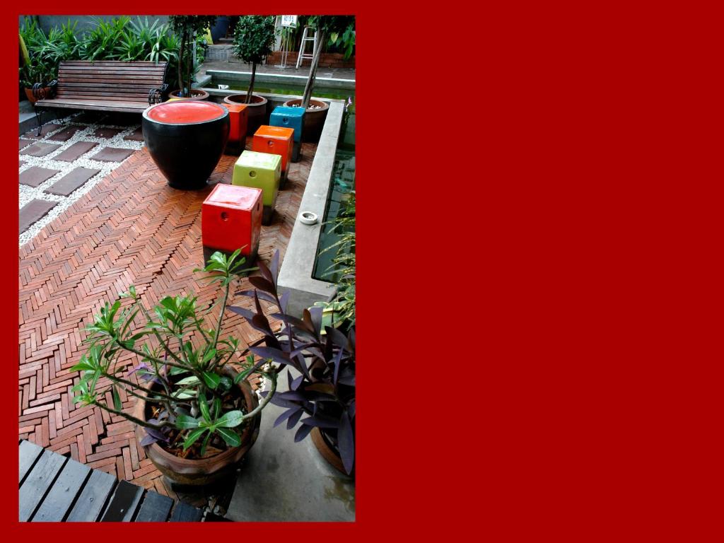 The Jomtien Twelve - Resim 18