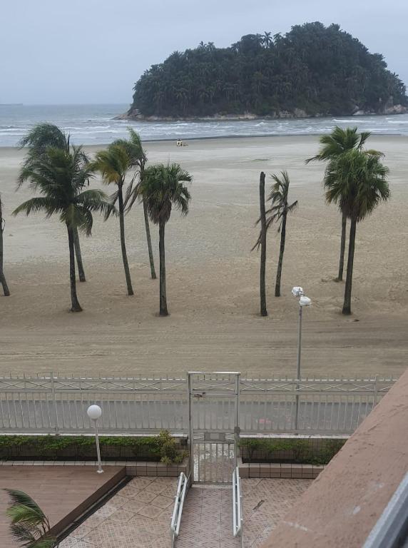 uma vista para uma praia com palmeiras e um banco em Kit Pé na Areia em Santos